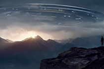 蘑菇视频使用说明完整版:内容分类逻辑与搜索效率提升策略