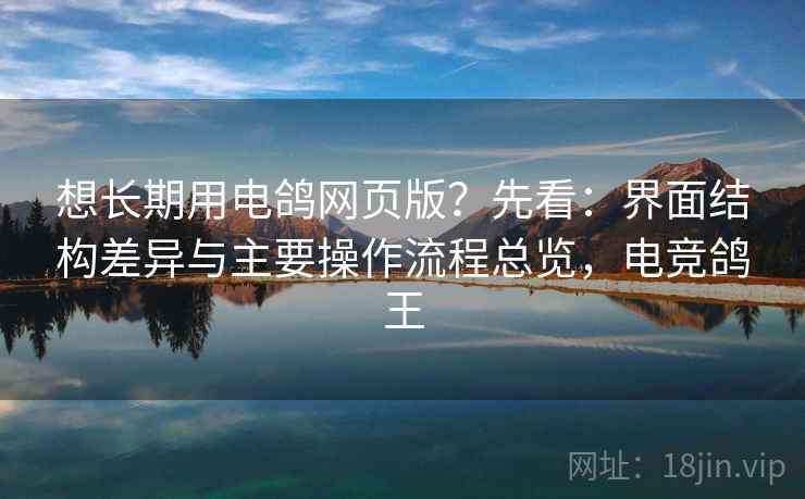 想长期用电鸽网页版?先看:界面结构差异与主要操作流程总览,电竞鸽王