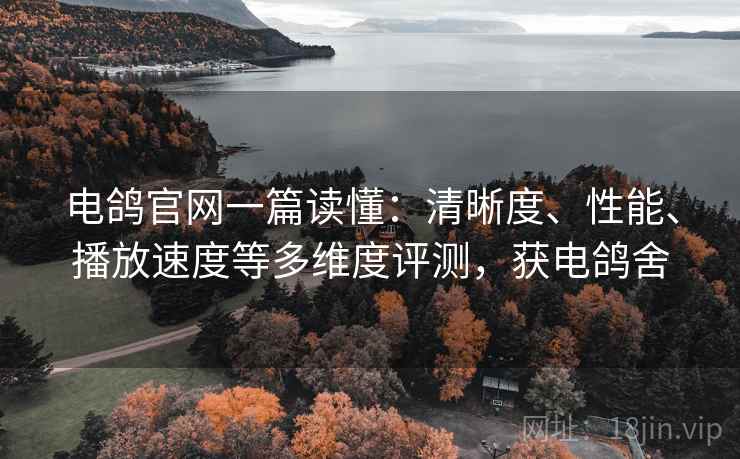 电鸽官网一篇读懂:清晰度、性能、播放速度等多维度评测,获电鸽舍 第2张 电鸽官网一篇读懂:清晰度、性能、播放速度等多维度评测,获电鸽舍 第2张