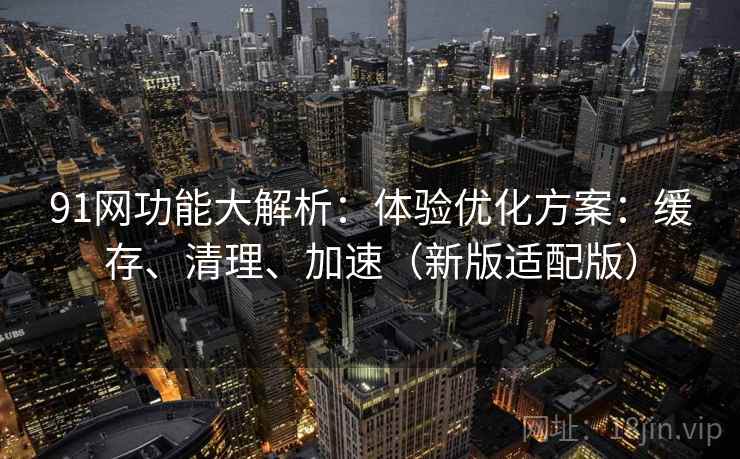 91网功能大解析：体验优化方案：缓存、清理、加速（新版适配版）  第2张