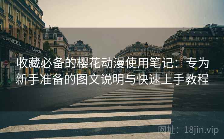收藏必备的樱花动漫使用笔记:专为新手准备的图文说明与快速上手教程