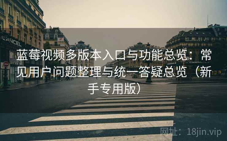 蓝莓视频多版本入口与功能总览：常见用户问题整理与统一答疑总览（新手专用版）