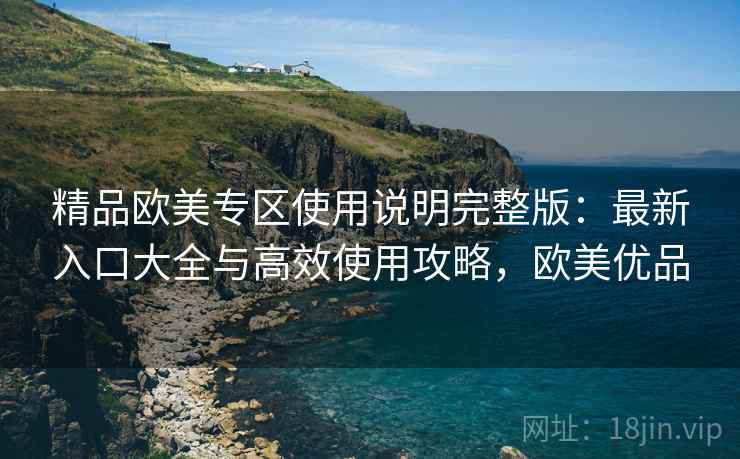 精品欧美专区使用说明完整版：最新入口大全与高效使用攻略，欧美优品  第2张