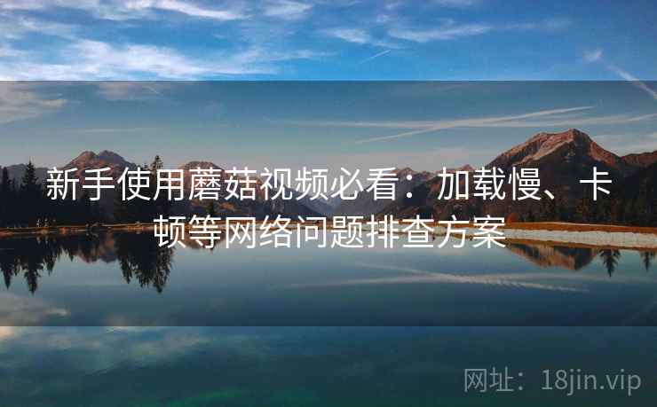 新手使用蘑菇视频必看：加载慢、卡顿等网络问题排查方案