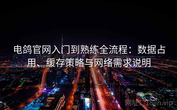 电鸽官网入门到熟练全流程：数据占用、缓存策略与网络需求说明  第2张