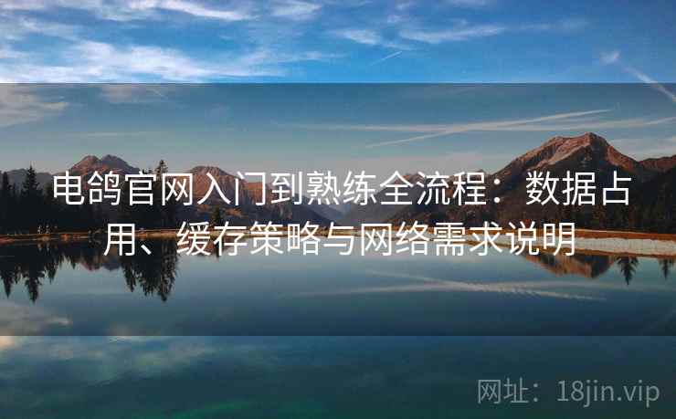 电鸽官网入门到熟练全流程：数据占用、缓存策略与网络需求说明  第1张