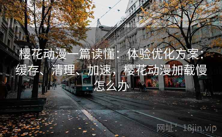 樱花动漫一篇读懂：体验优化方案：缓存、清理、加速，樱花动漫加载慢怎么办  第2张