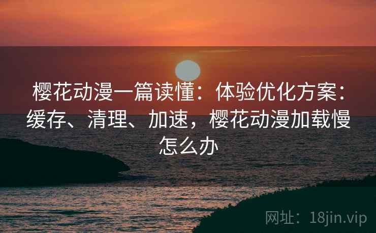 樱花动漫一篇读懂：体验优化方案：缓存、清理、加速，樱花动漫加载慢怎么办  第1张