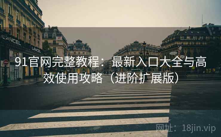 91官网完整教程：最新入口大全与高效使用攻略（进阶扩展版）  第2张