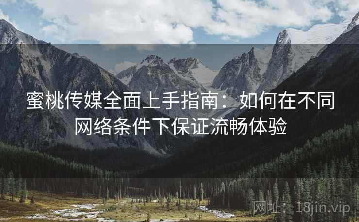 蜜桃传媒全面上手指南：如何在不同网络条件下保证流畅体验