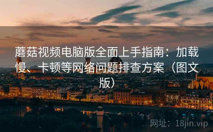 蘑菇视频电脑版全面上手指南：加载慢、卡顿等网络问题排查方案（图文版）  第2张