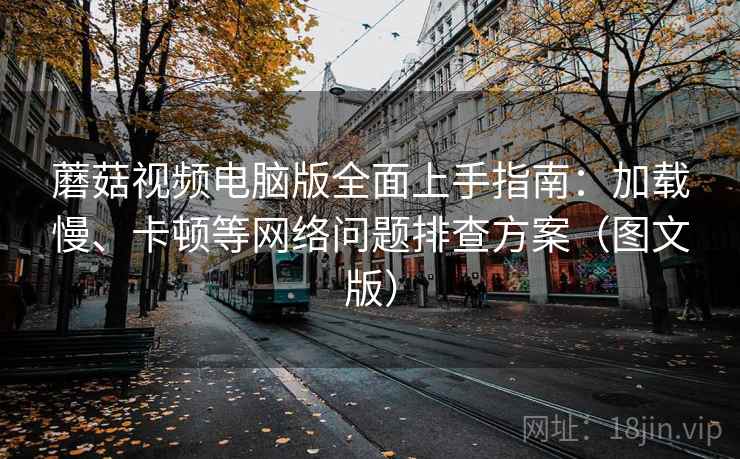 蘑菇视频电脑版全面上手指南：加载慢、卡顿等网络问题排查方案（图文版）  第1张