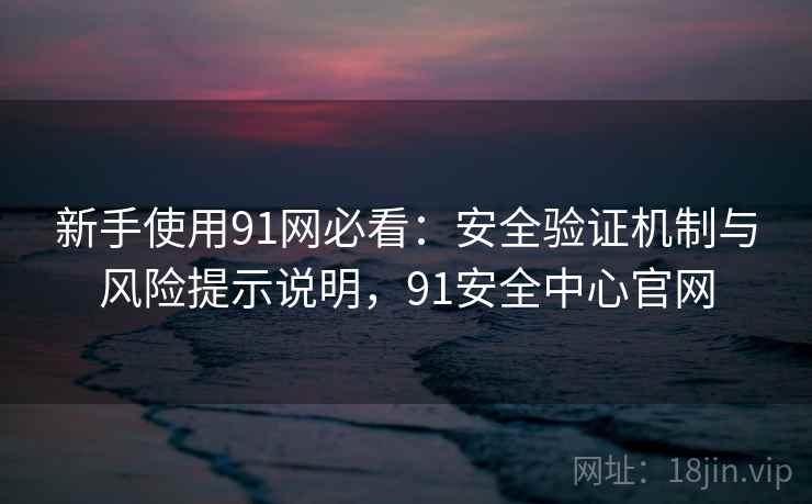 新手使用91网必看：安全验证机制与风险提示说明，91安全中心官网  第1张