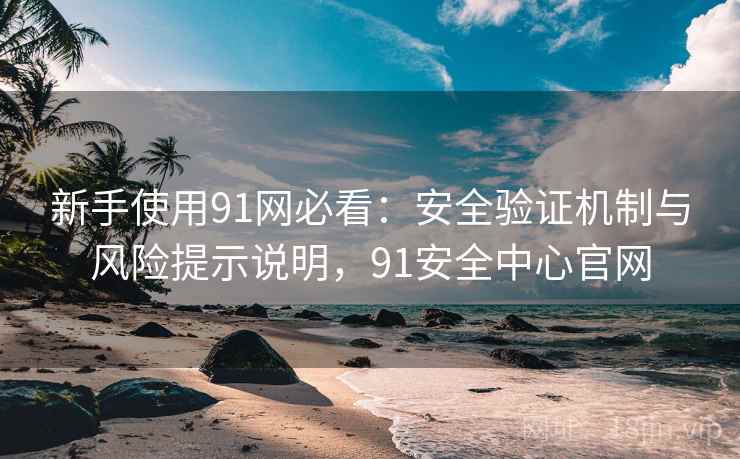 新手使用91网必看：安全验证机制与风险提示说明，91安全中心官网  第2张