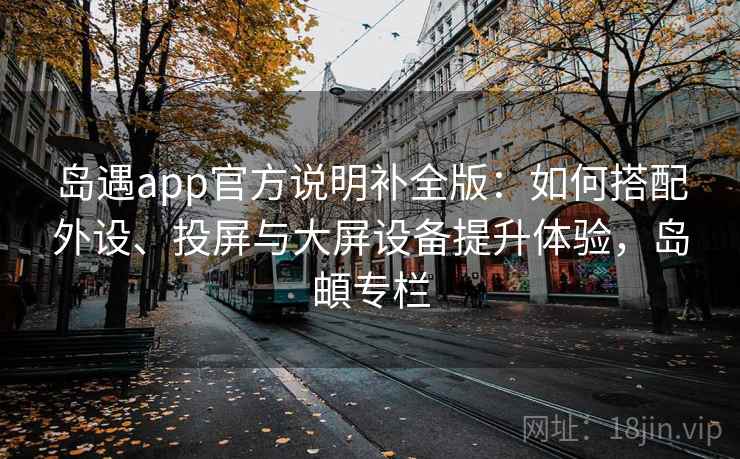 岛遇app官方说明补全版：如何搭配外设、投屏与大屏设备提升体验，岛頔专栏