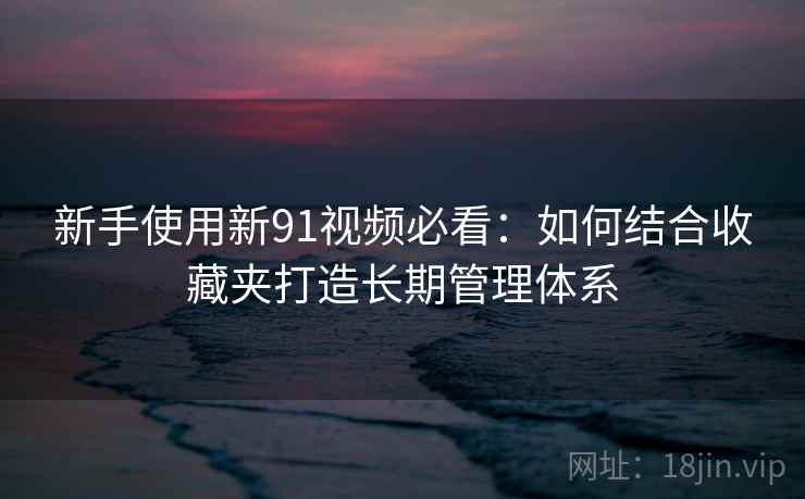 新手使用新91视频必看：如何结合收藏夹打造长期管理体系