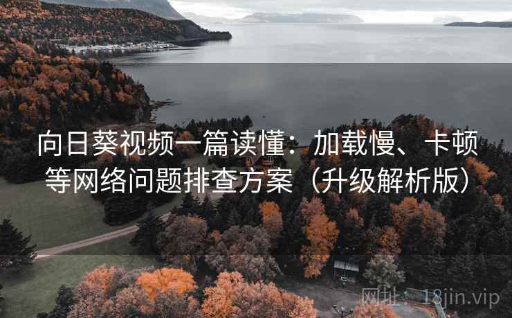 向日葵视频一篇读懂：加载慢、卡顿等网络问题排查方案（升级解析版）