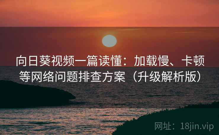 向日葵视频一篇读懂：加载慢、卡顿等网络问题排查方案（升级解析版）  第2张