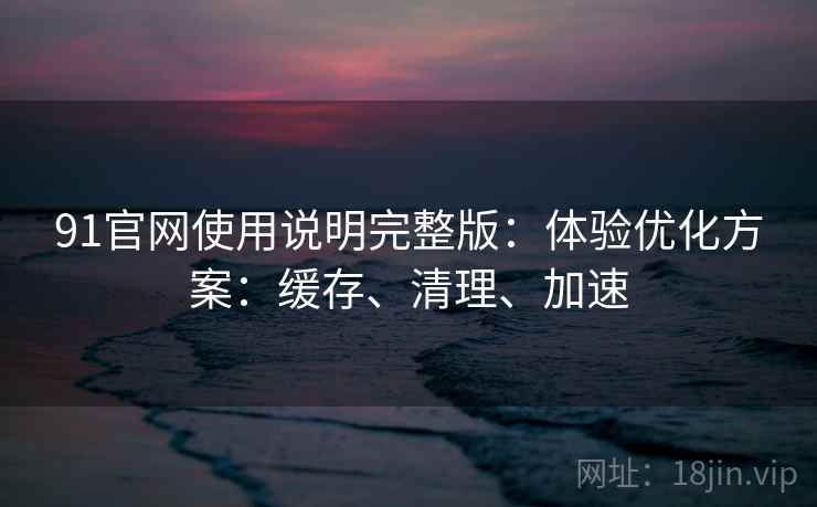 91官网使用说明完整版：体验优化方案：缓存、清理、加速