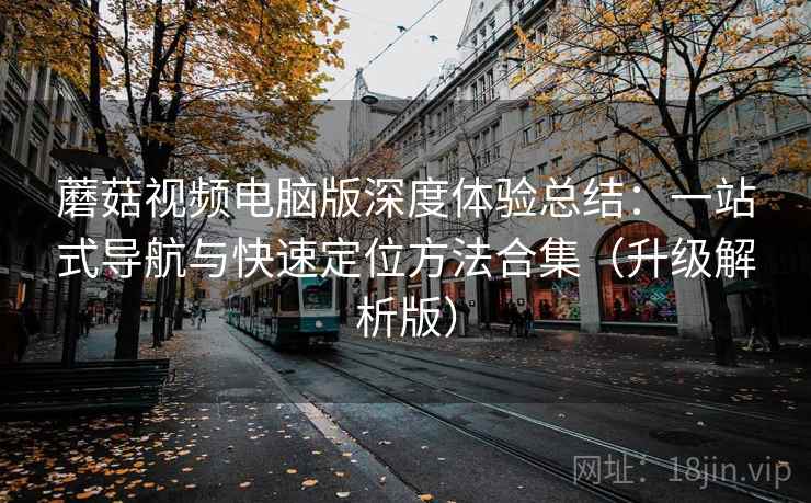 蘑菇视频电脑版深度体验总结：一站式导航与快速定位方法合集（升级解析版）  第2张