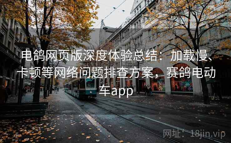 电鸽网页版深度体验总结：加载慢、卡顿等网络问题排查方案，赛鸽电动车app  第2张