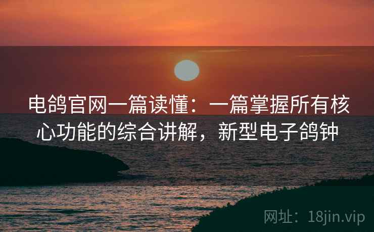 电鸽官网一篇读懂：一篇掌握所有核心功能的综合讲解，新型电子鸽钟  第2张